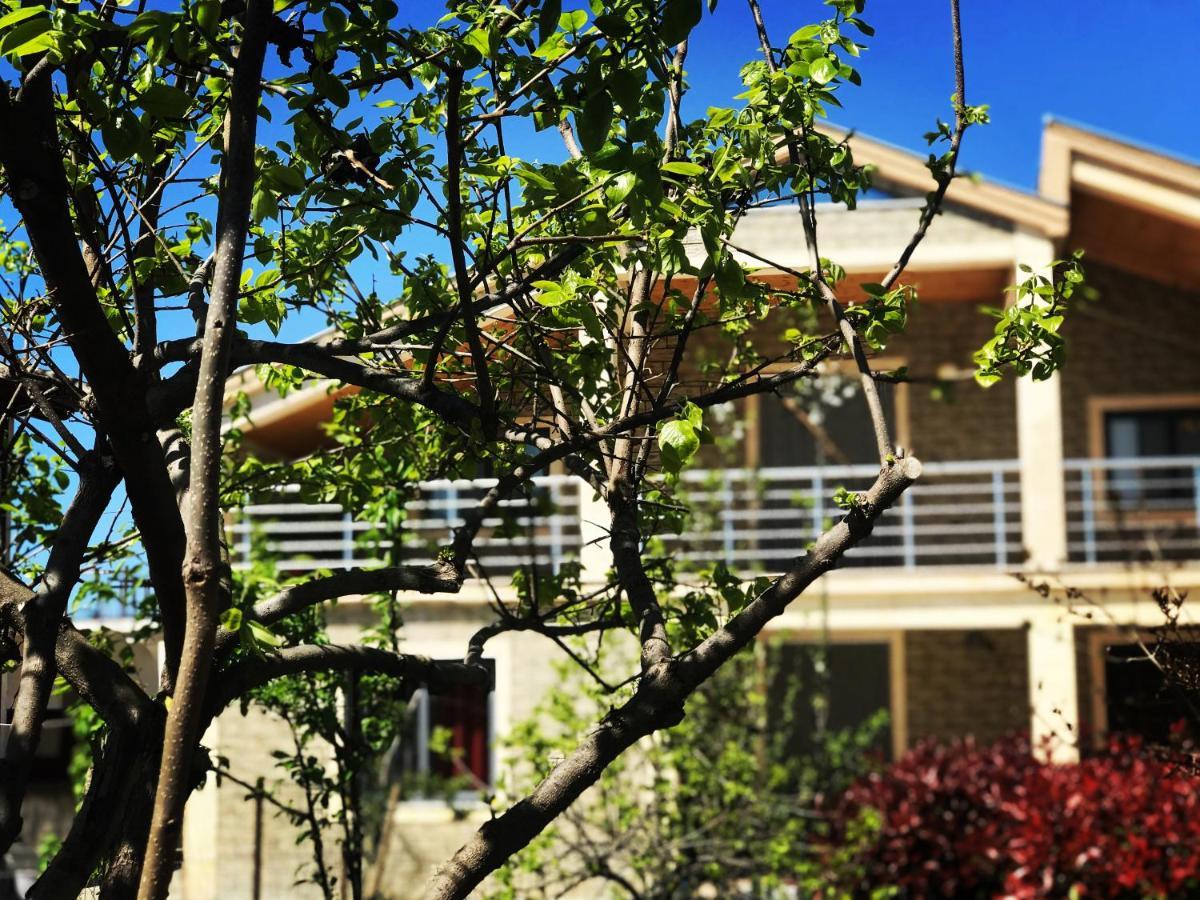 Villa Garden Shkodra Luaran gambar